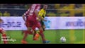�������� (��������) � �������� 2:2